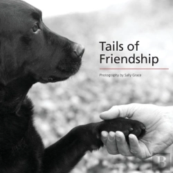 Bertrand.pt - Tails Of Friendship