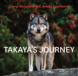 Bertrand.pt - Takaya'S Journey