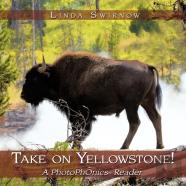 Take On Yellowstone!