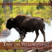Take On Yellowstone!