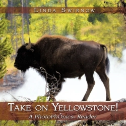 Bertrand.pt - Take On Yellowstone!