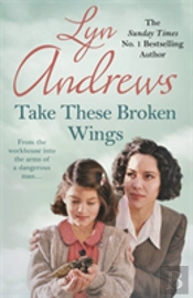 Take These Broken Wings