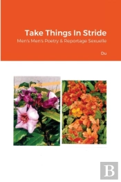 Take Things In Stride