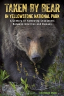 Bertrand.pt - Taken By Bear In Yellowstone