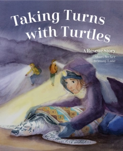 Bertrand.pt - Taking Turns With Turtles