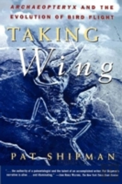 Taking Wing