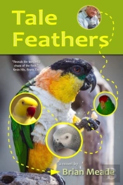 Tale Feathers