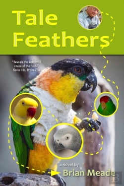Bertrand.pt - Tale Feathers