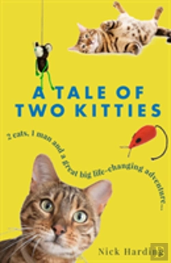 Bertrand.pt - Tale Of Two Kitties