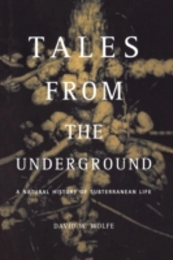Bertrand.pt - Tales From The Underground