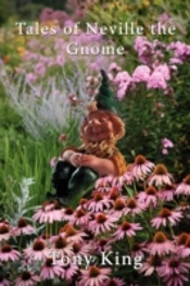Tales Of Neville The Gnome