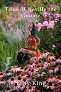 Bertrand.pt - Tales Of Neville The Gnome
