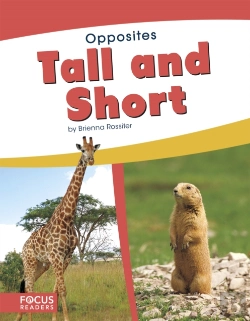 Bertrand.pt - Tall And Short