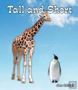 Bertrand.pt - Tall And Short