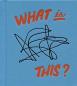 Tamara Shopsin - What Is This?