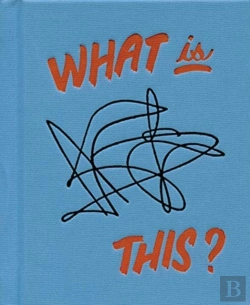 Bertrand.pt - Tamara Shopsin - What Is This?