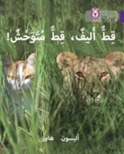 Tame Cat, Wild Cat