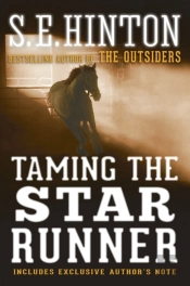 Taming The Star Runner