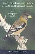 Tanagers, Cardinals, And Finches Of The United States And Canada