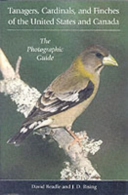 Bertrand.pt - Tanagers, Cardinals, And Finches Of The United States And Canada