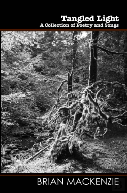 Bertrand.pt - Tangled Light