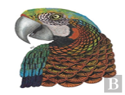 Tangleeasy Lined Journal Parrot