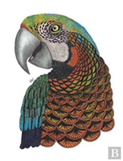 Bertrand.pt - Tangleeasy Lined Journal Parrot