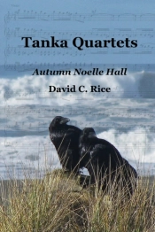 Tanka Quartets