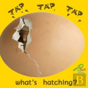 Tap, Tap, Tap... What'S Hatching?