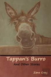 Tappan'S Burro And Other Stories