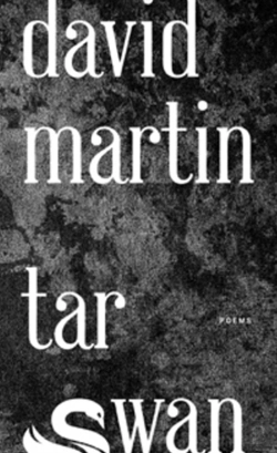 Bertrand.pt - Tar Swan