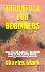Tarantula For Beginners