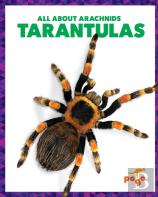 Tarantulas