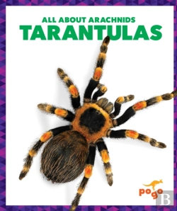 Bertrand.pt - Tarantulas