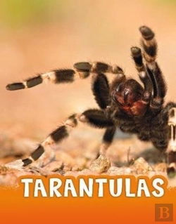 Bertrand.pt - Tarantulas