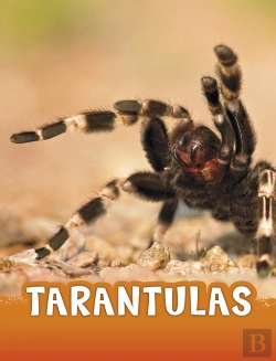 Bertrand.pt - Tarantulas