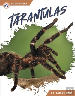 Bertrand.pt - Tarantulas