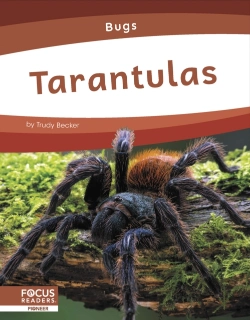 Bertrand.pt - Tarantulas