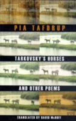 Bertrand.pt - Tarkovsky'S Horses And Other Poems