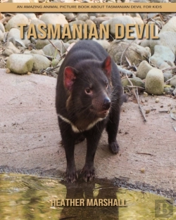 Bertrand.pt - Tasmanian Devil