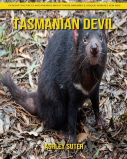 Bertrand.pt - Tasmanian Devil