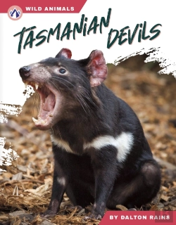 Bertrand.pt - Tasmanian Devils