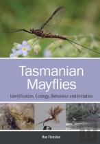 Tasmanian Mayflies