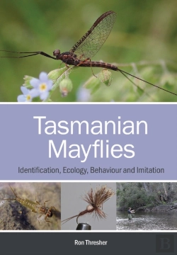 Bertrand.pt - Tasmanian Mayflies