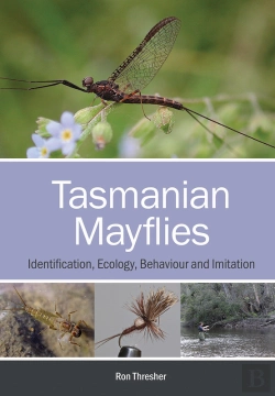 Bertrand.pt - Tasmanian Mayflies