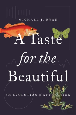 Bertrand.pt - Taste For The Beautiful