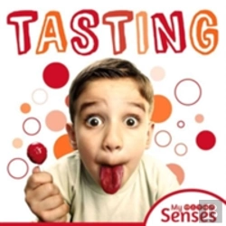 Bertrand.pt - Tasting