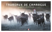 Taureaux De Camargue : Focus ; Camargue Bulls