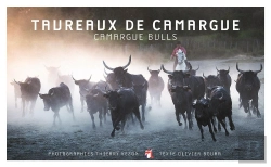 Bertrand.pt - Taureaux De Camargue : Focus ; Camargue Bulls