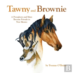 Bertrand.pt - Tawny And Brownie